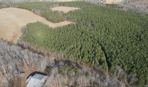 Photo #5 of TN Snow Road, Nathalie, VA 22.8 acres