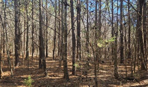 Photo #2 of TN Snow Road, Nathalie, VA 22.8 acres