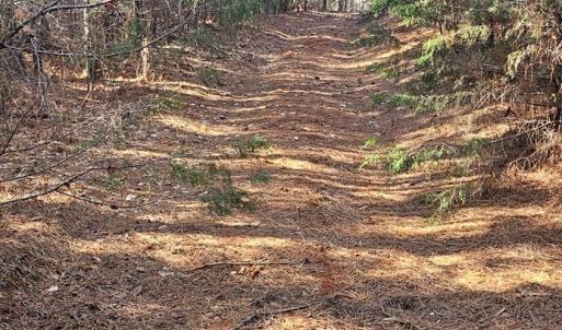 Photo #5 of TN Snow Road, Nathalie, VA 22.7 acres