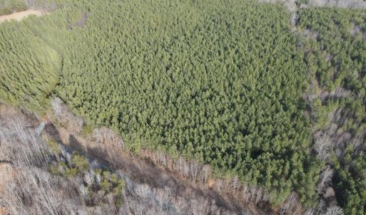 Photo #3 of TN Snow Road, Nathalie, VA 22.7 acres