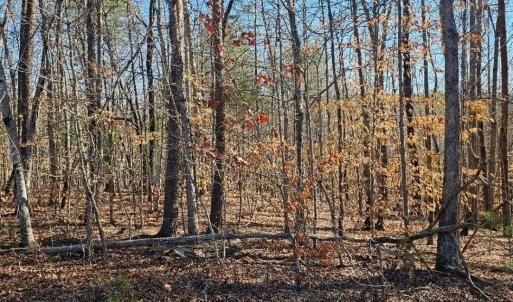 Photo #2 of Red Oak Road, Martinsville, VA 3.1 acres