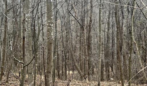 Photo #1 of 1 Bandy Mill  Rd, Hardy, VA 2.4 acres