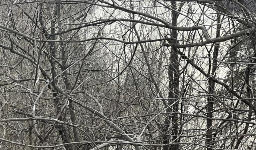 Photo #8 of 1 Bandy Mill  Rd, Hardy, VA 2.4 acres