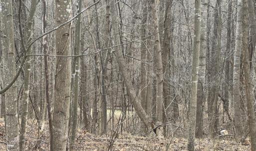 Photo #7 of 1 Bandy Mill  Rd, Hardy, VA 2.4 acres