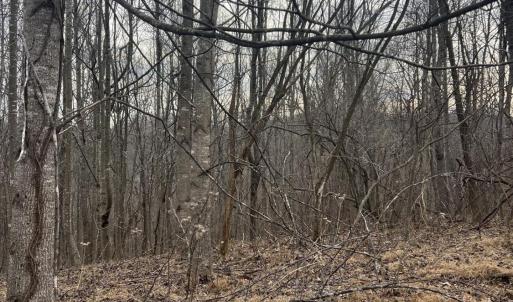 Photo #3 of 1 Bandy Mill  Rd, Hardy, VA 2.4 acres