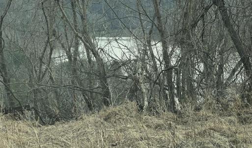 Photo #4 of 1 Bandy Mill  Rd, Hardy, VA 2.4 acres