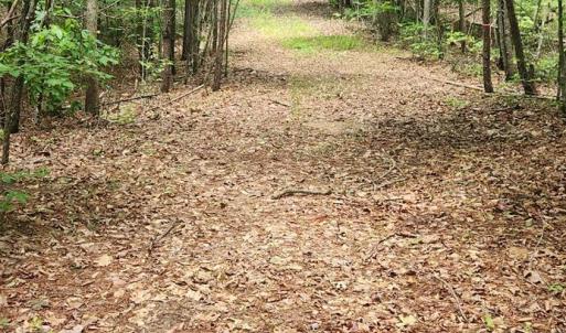 Photo #34 of 3171 Earley Farm Road, Madison Heights, VA 81.2 acres