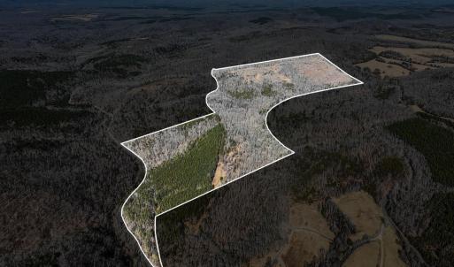 Photo #4 of 3171 Earley Farm Road, Madison Heights, VA 81.2 acres