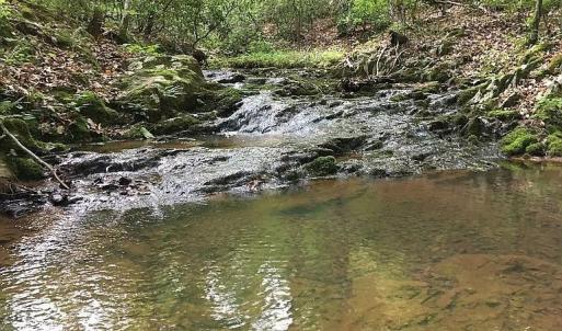 Photo #7 of 3171 Earley Farm Road, Madison Heights, VA 81.2 acres