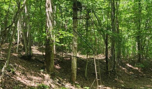 Photo #35 of 3171 Earley Farm Road, Madison Heights, VA 81.2 acres