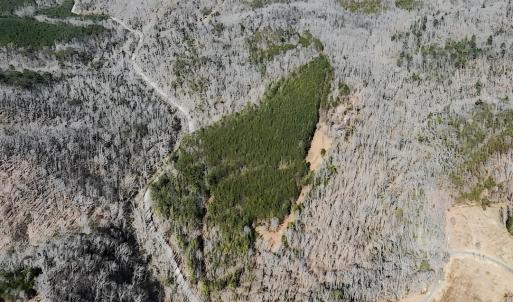 Photo #21 of 3171 Earley Farm Road, Madison Heights, VA 81.2 acres