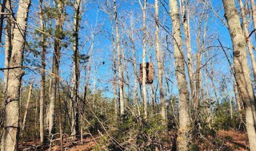 Photo #28 of 3171 Earley Farm Road, Madison Heights, VA 81.2 acres