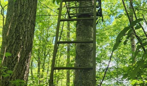 Photo #37 of 3171 Earley Farm Road, Madison Heights, VA 81.2 acres