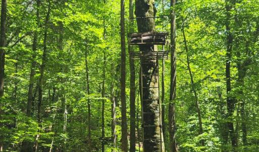 Photo #38 of 3171 Earley Farm Road, Madison Heights, VA 81.2 acres