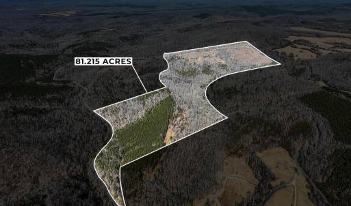 Photo #22 of 3171 Earley Farm Road, Madison Heights, VA 81.2 acres