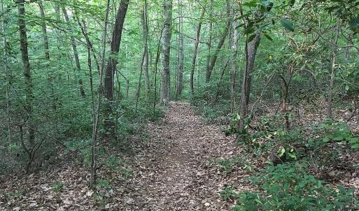 Photo #27 of 3171 Earley Farm Road, Madison Heights, VA 81.2 acres