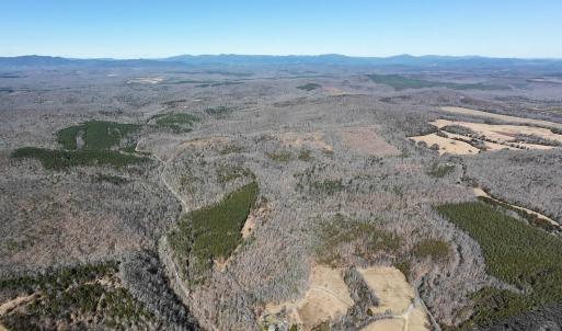 Photo #20 of 3171 Earley Farm Road, Madison Heights, VA 81.2 acres