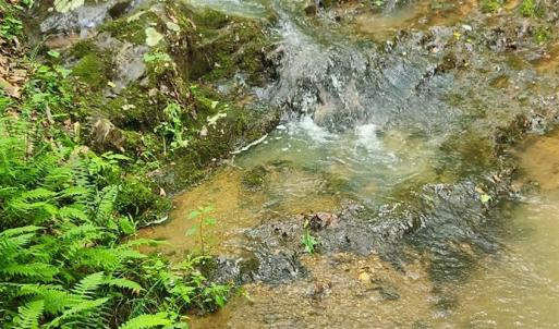 Photo #29 of 3171 Early Farm Road, Madison Heights, VA 81.2 acres