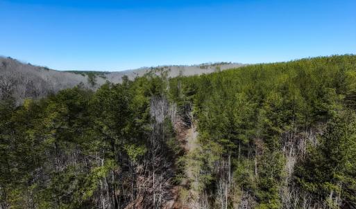 Photo #15 of 3171 Early Farm Road, Madison Heights, VA 81.2 acres