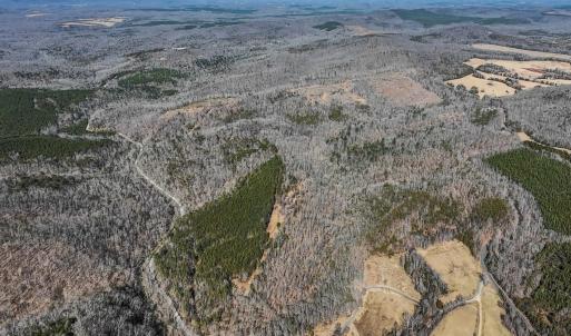 Photo #14 of 3171 Early Farm Road, Madison Heights, VA 81.2 acres