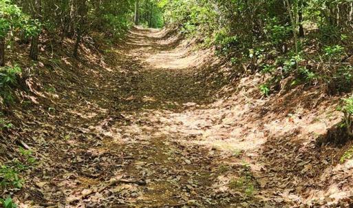 Photo #33 of 3171 Early Farm Road, Madison Heights, VA 81.2 acres