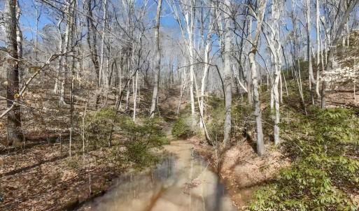 Photo #6 of 3171 Early Farm Road, Madison Heights, VA 81.2 acres