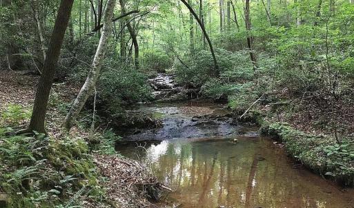 Photo #16 of 3171 Early Farm Road, Madison Heights, VA 81.2 acres