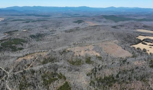 Photo #19 of 3171 Early Farm Road, Madison Heights, VA 81.2 acres