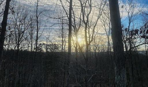 Photo #23 of 3171 Early Farm Road, Madison Heights, VA 81.2 acres