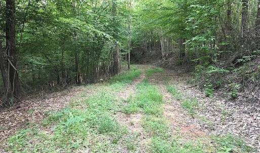 Photo #25 of 3171 Early Farm Road, Madison Heights, VA 81.2 acres