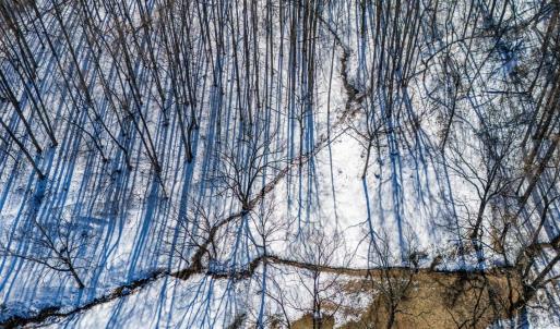 Photo #18 of 65 Lavender Lane, Amherst, VA 64.8 acres