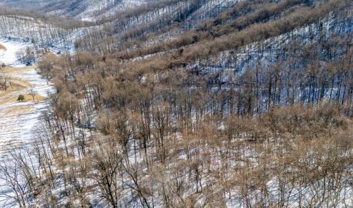 Photo #28 of 65 Lavender Lane, Amherst, VA 64.8 acres
