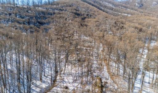 Photo #19 of 65 Lavender Lane, Amherst, VA 64.8 acres