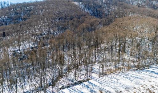 Photo #16 of 65 Lavender Lane, Amherst, VA 64.8 acres