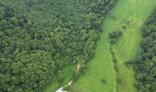 Photo #5 of 65 Lavender Lane, Amherst, VA 64.8 acres