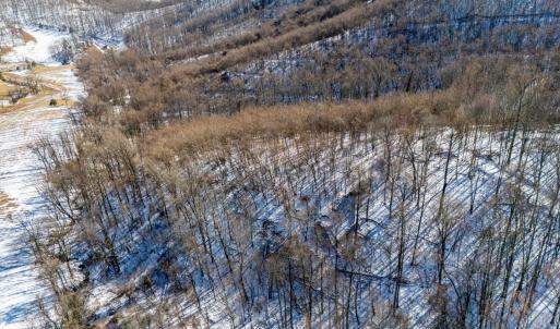 Photo #37 of 65 Lavender Lane, Amherst, VA 64.8 acres