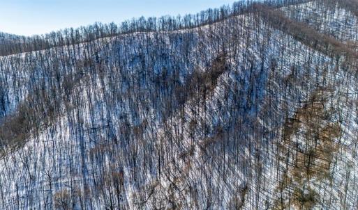 Photo #36 of 65 Lavender Lane, Amherst, VA 64.8 acres