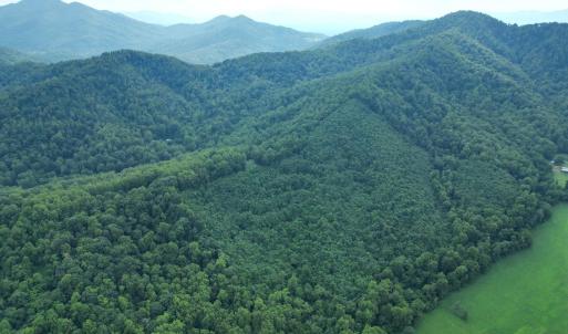 Photo #2 of 65 Lavender Lane, Amherst, VA 64.8 acres