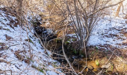 Photo #45 of 65 Lavender Lane, Amherst, VA 64.8 acres