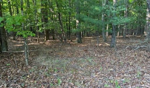 Photo #7 of 22 Woodshire Drive, Blue Ridge, VA 5.1 acres