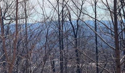 Photo #2 of Summit Drive, Rocky Mount, VA 0.7 acres