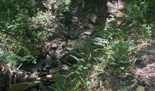 Photo #29 of Piney Mountain Road, Appomattox, VA 22.7 acres