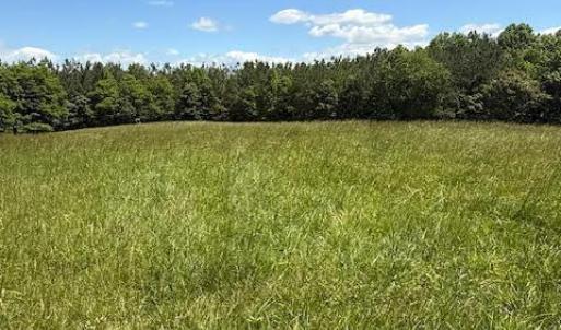 Photo #19 of Piney Mountain Road, Appomattox, VA 22.7 acres