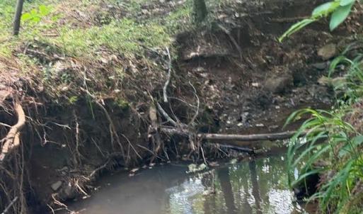 Photo #26 of Piney Mountain Road, Appomattox, VA 22.7 acres