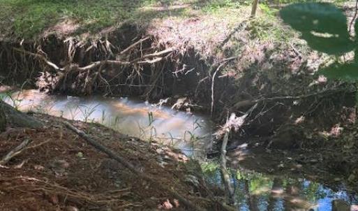 Photo #28 of Piney Mountain Road, Appomattox, VA 22.7 acres