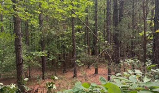 Photo #37 of Piney Mountain Road, Appomattox, VA 22.7 acres