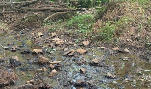 Photo #6 of Piney Mountain Road, Appomattox, VA 22.7 acres