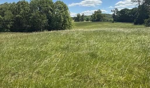 Photo #20 of Piney Mountain Road, Appomattox, VA 22.7 acres