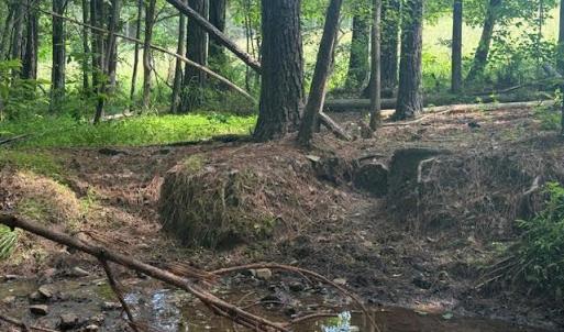 Photo #25 of Piney Mountain Road, Appomattox, VA 22.7 acres