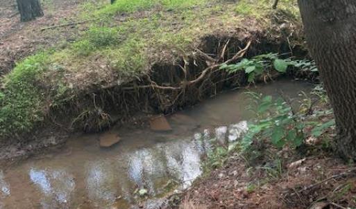 Photo #13 of Piney Mountain Road, Appomattox, VA 22.7 acres